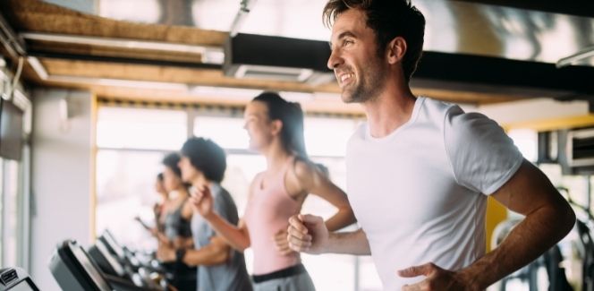 Proteína concentrada do leite para o público fitness